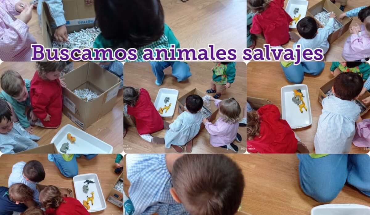 WhatsApp Image 2023-08-03 at 09.48.25 (1)