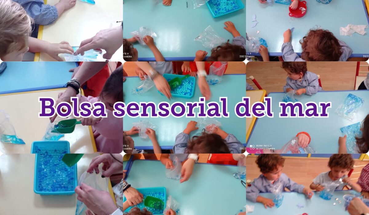 WhatsApp Image 2023-08-03 at 09.48.25